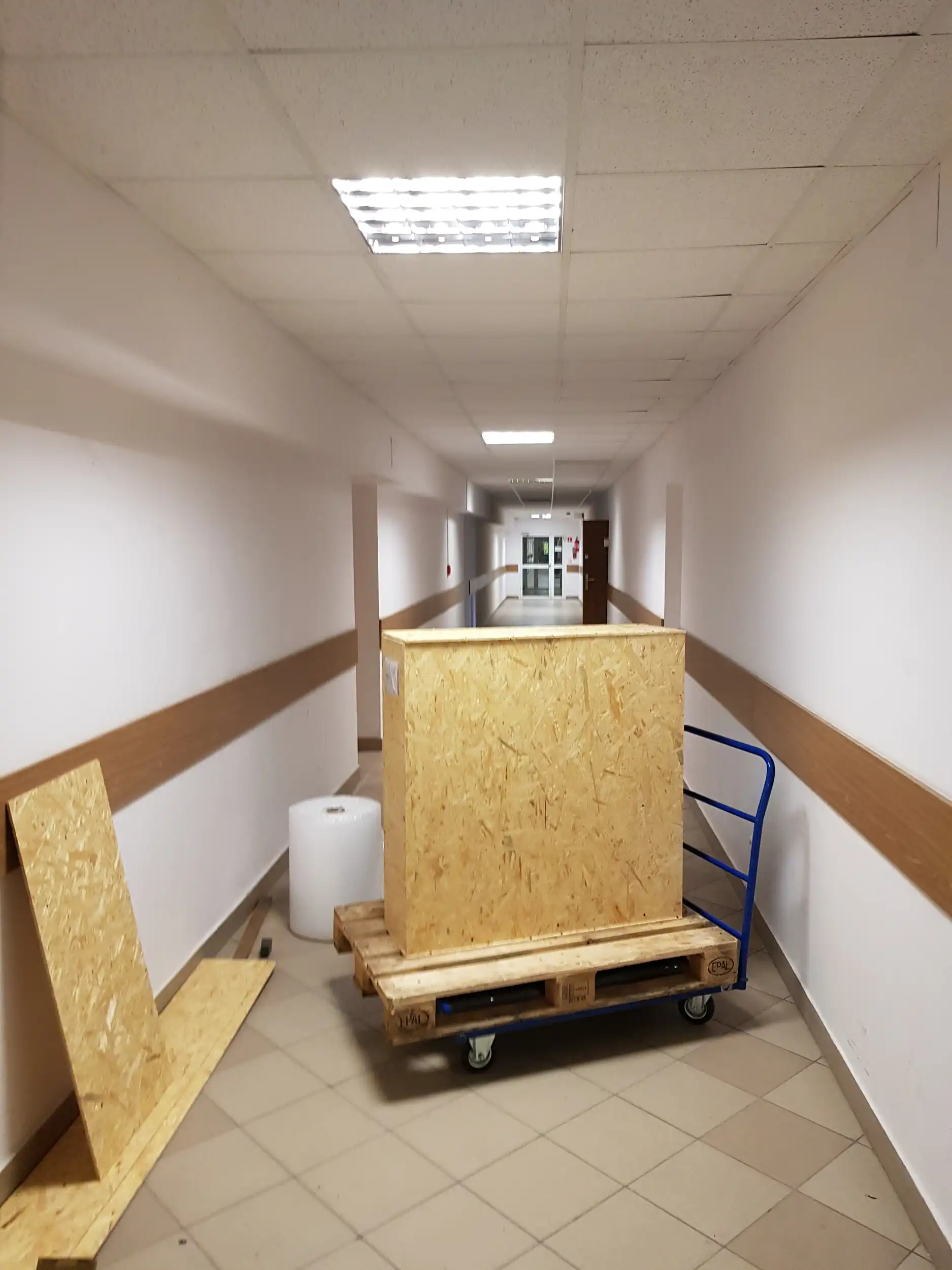 shashtin – 20210831 132306