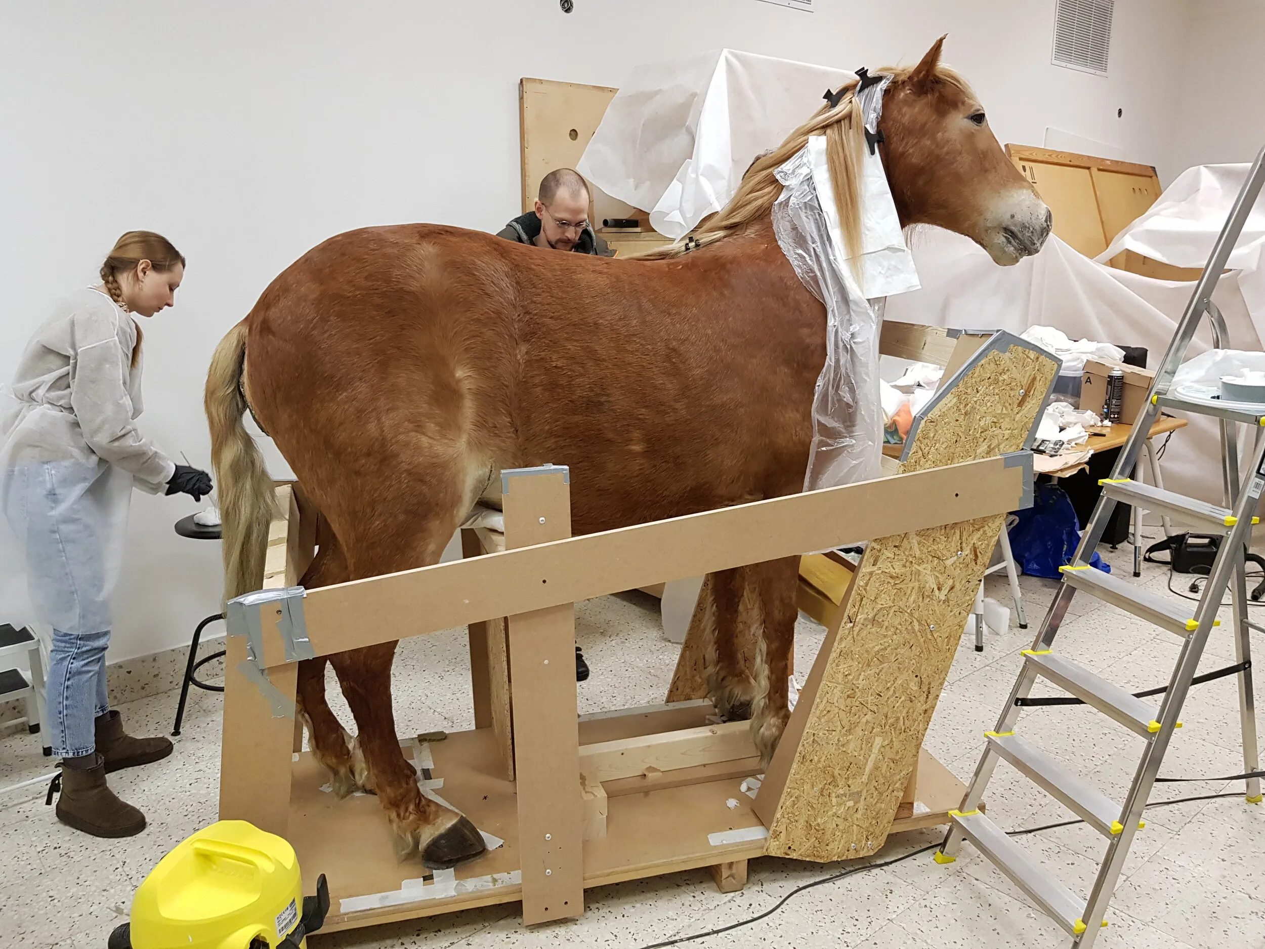 Support system for the horse from Katarzyna Kozyra's Animal Pyramid.