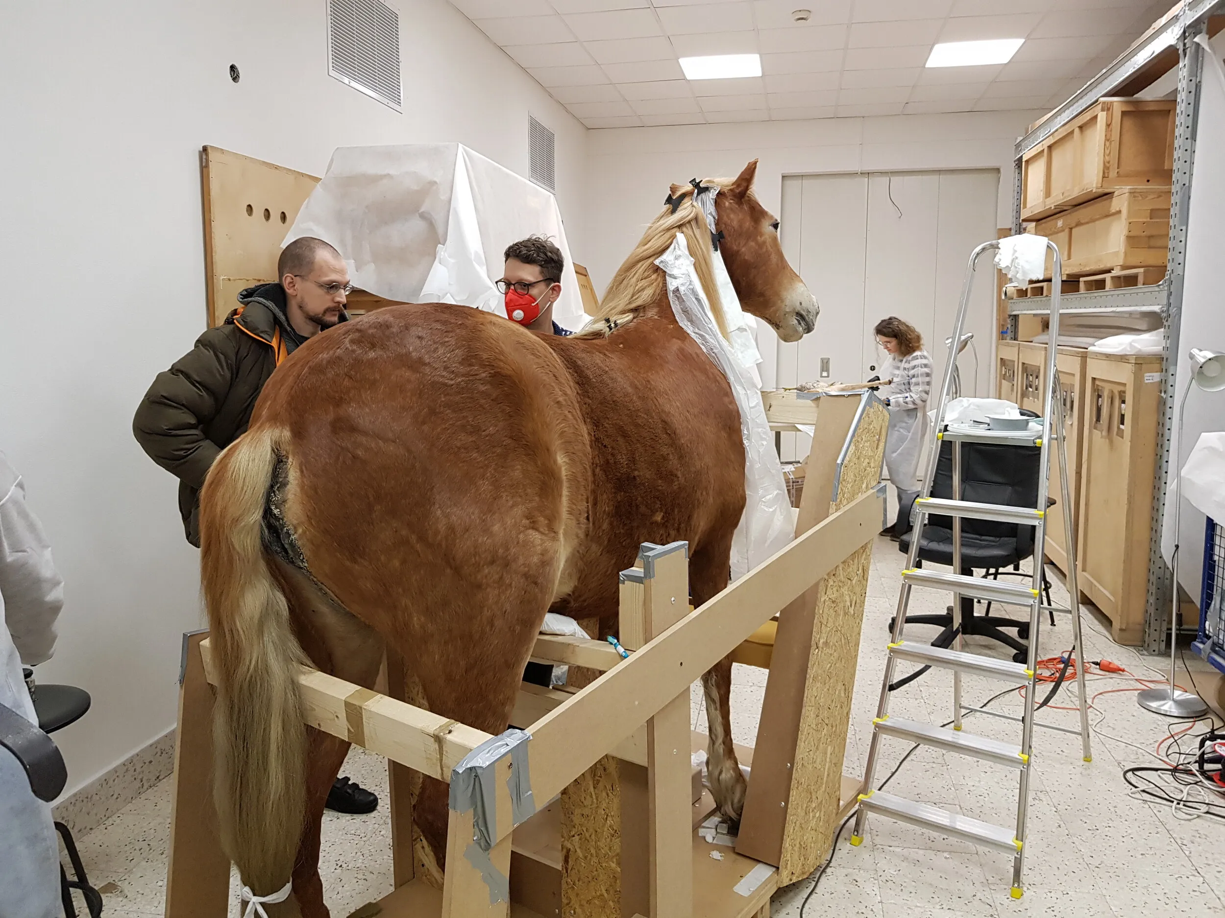 3D model of the Animal Pyramid horse prepared for support design.