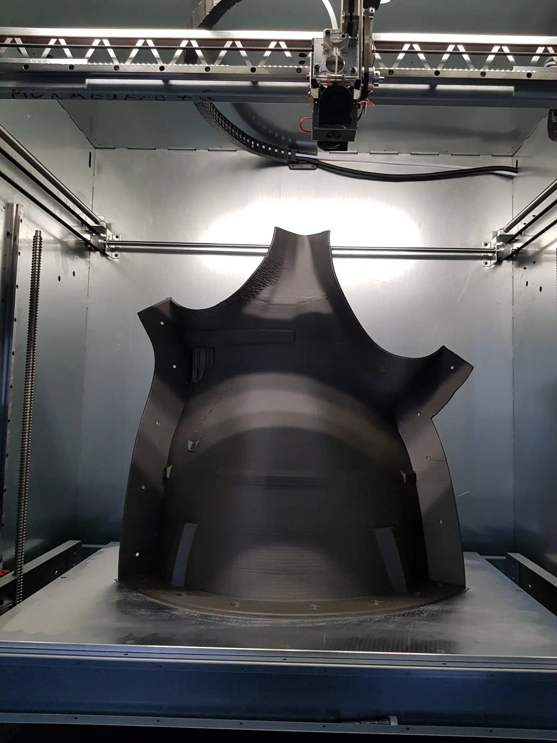 Piramida zwierząt – 20230315 155408