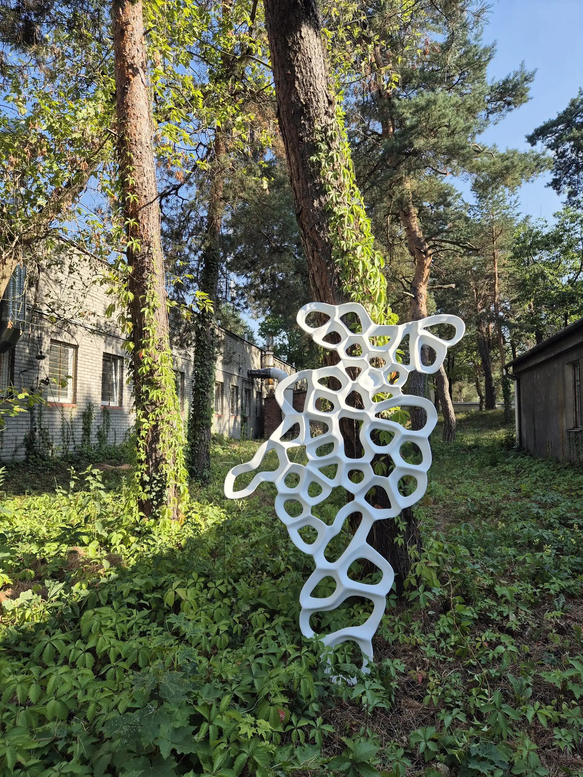 twardo-art – 20240903 154245