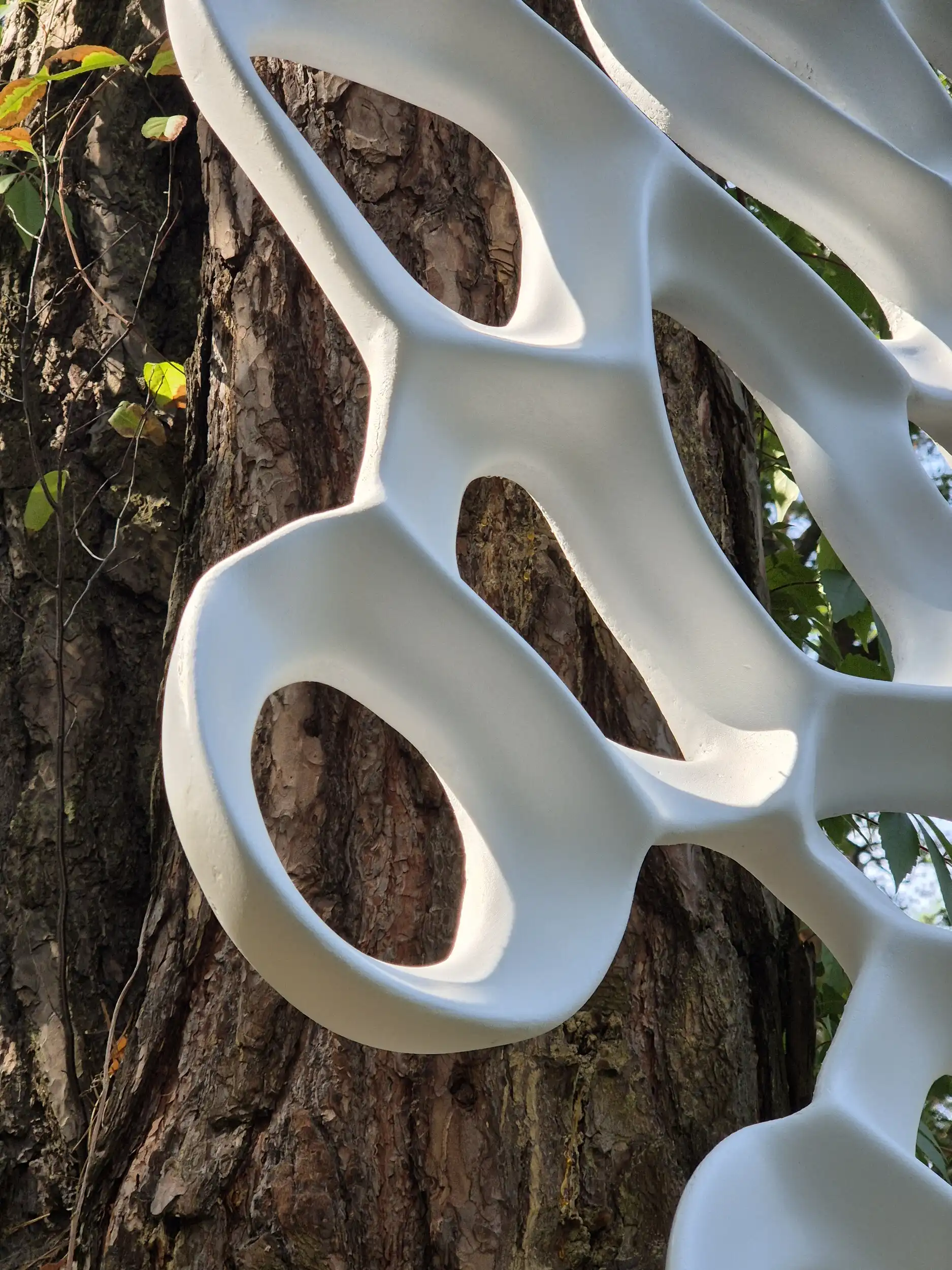 twardo-art – 20240905 104938