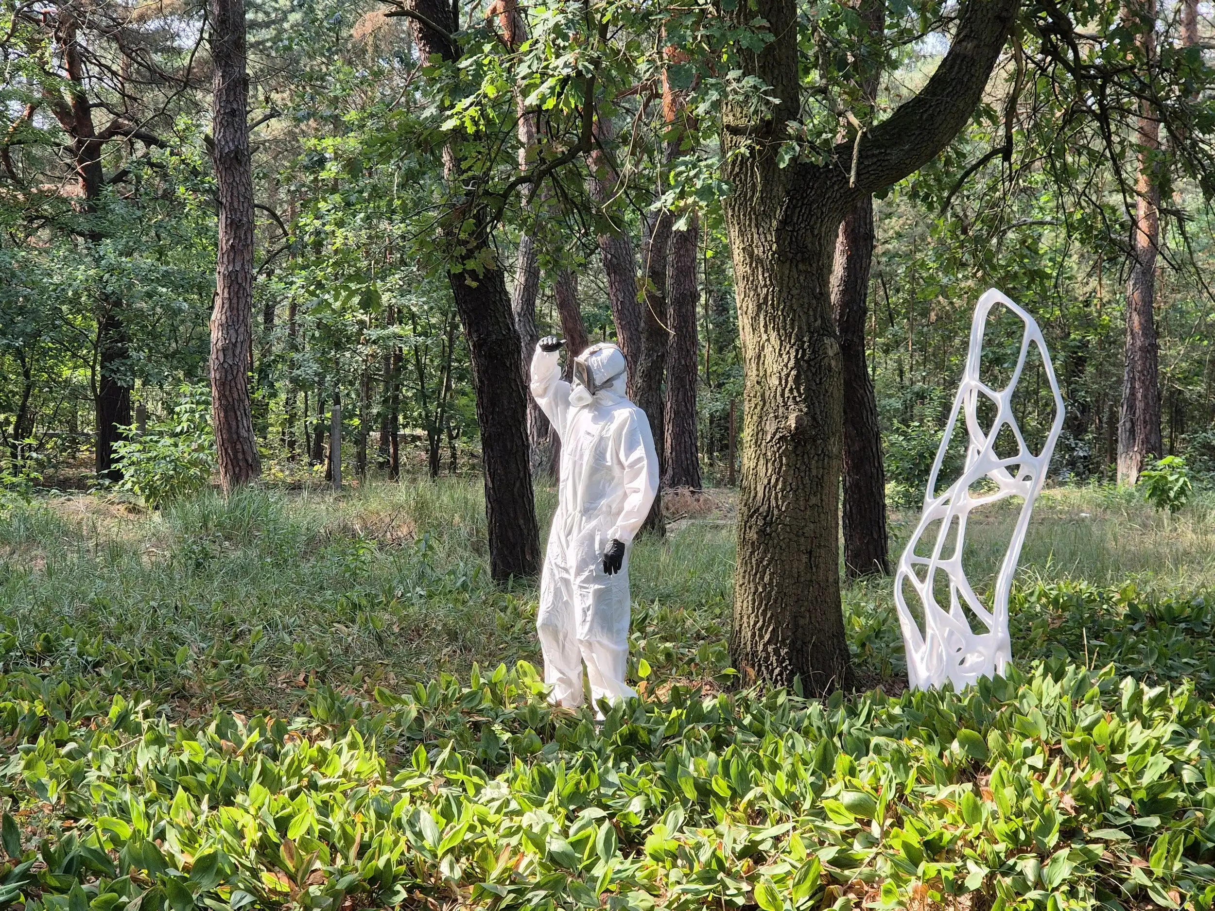 twardo-art – 20240905 113251