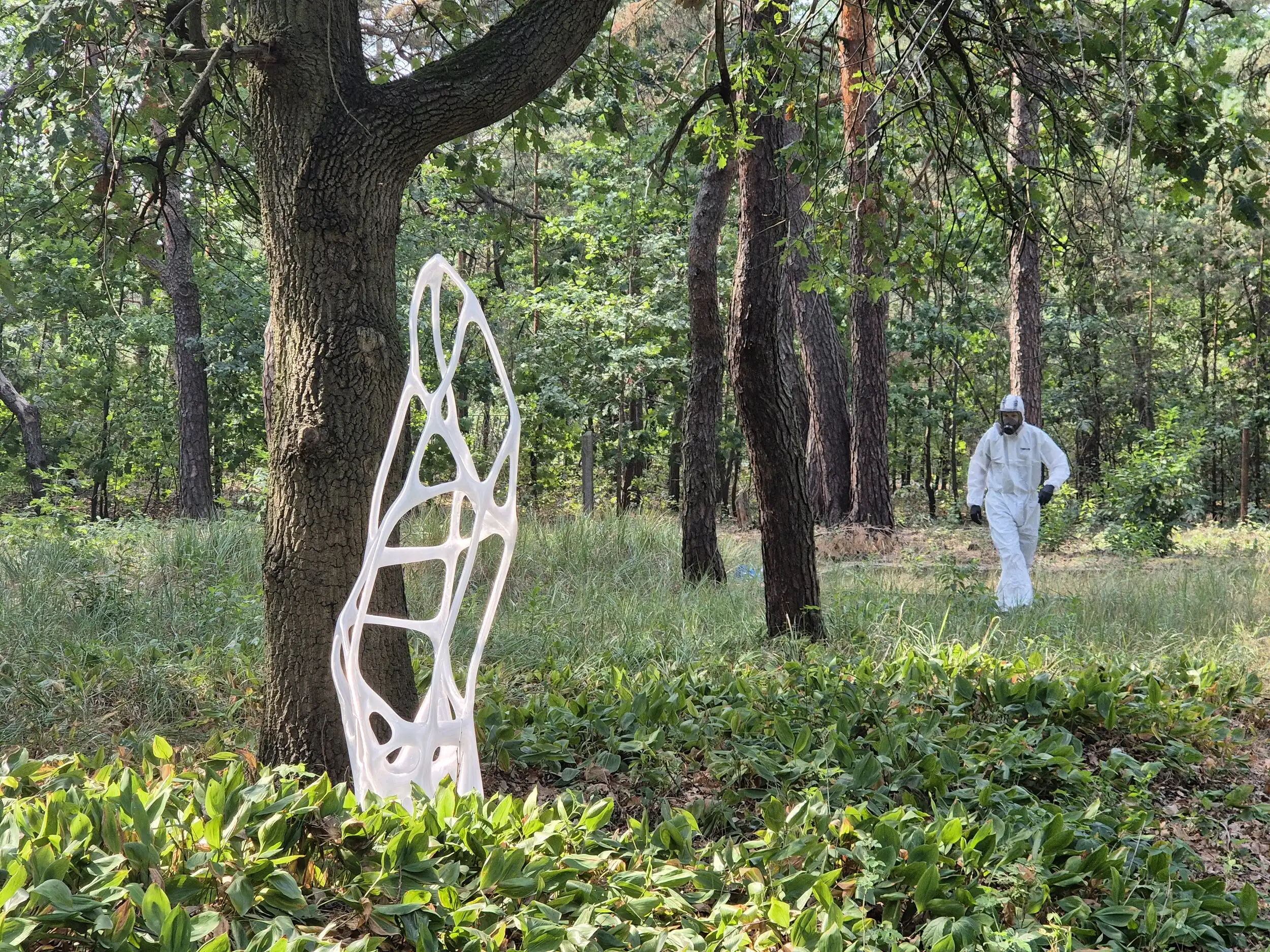 twardo-art – 20240905 113428