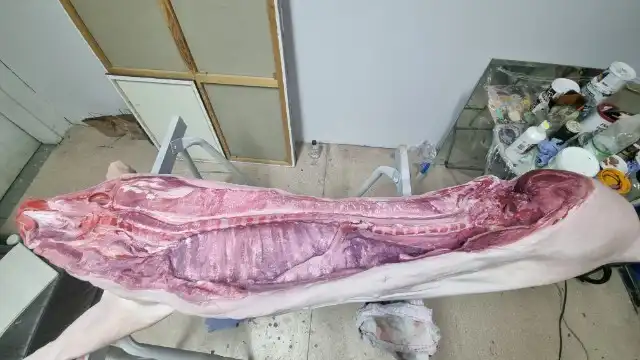 Rzeźnia – swinia pomalowana2