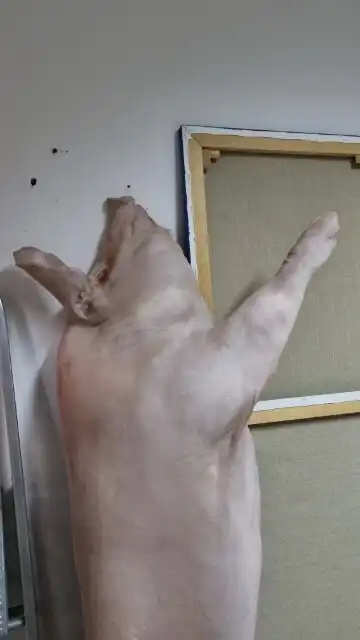 Rzeźnia – swinia pomalowana3